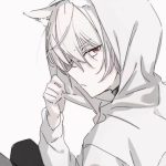 用户：253*********